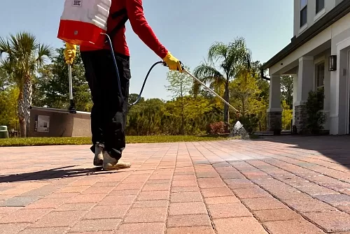 Paver Cleaning & Sealing - Photo 47