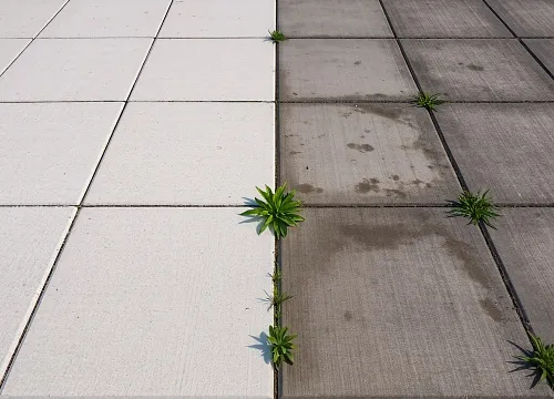 Paver Cleaning & Sealing - Photo 45