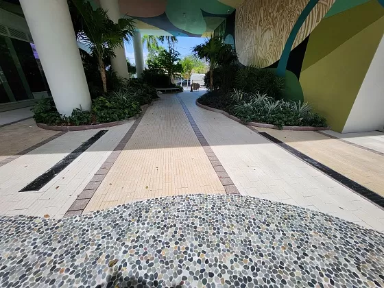 29N Wynwood: Moss - Photo 7