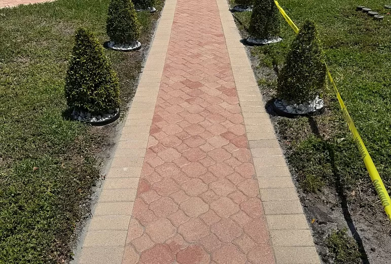 Commercial Services - Photo 67