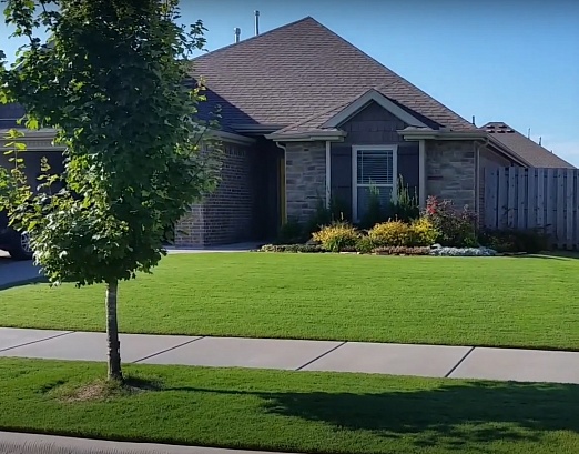 Basic lawn care and maintenance tips